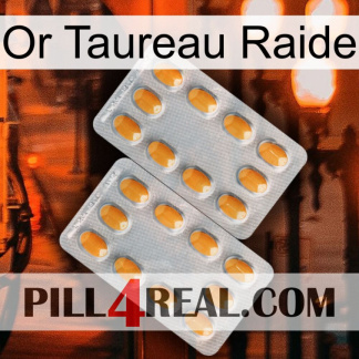 Stiff Bull Gold cialis4